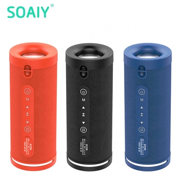 Loa Soaiy E12